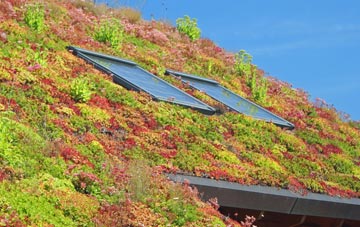 Penberth living roof systems